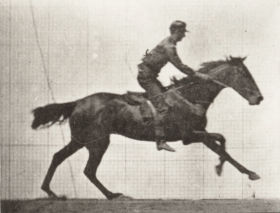 Plate 633 'Bouquet' galloping, saddled — figure reference